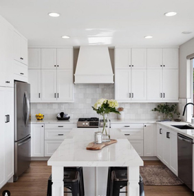 Modern Kitchen Cabinets